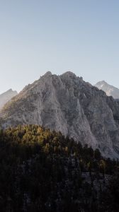 Превью обои вершина, гора, деревья, лес, небо