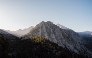 Превью обои вершина, гора, деревья, лес, небо