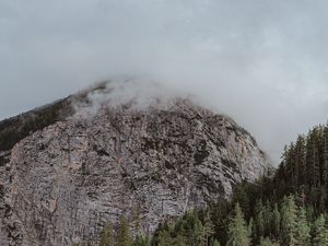 Превью обои вершина, гора, туман, каменный, деревья