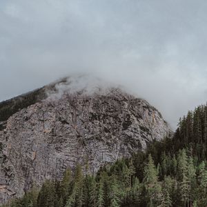 Превью обои вершина, гора, туман, каменный, деревья