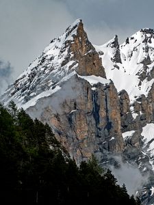 Превью обои вершина, горы, ущелье, лес, заснеженный, швейцария