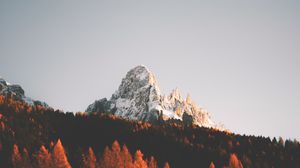 Превью обои вершина, скала, деревья, лес, снег