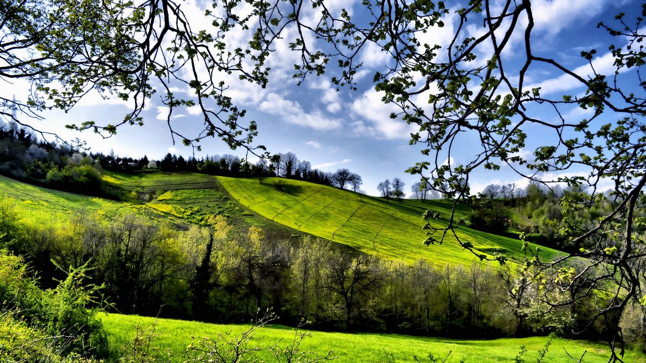Обои весна, поля, деревья, зелень картинки на рабочий стол, фото скачать  бесплатно