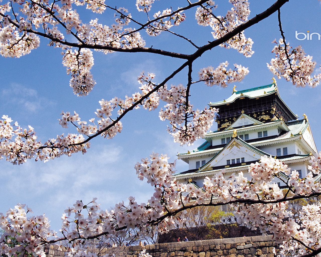 Скачать 1280x1024 весна, сакура, цветение, дворец, япония, архитектура обои,  картинки стандарт 5:4