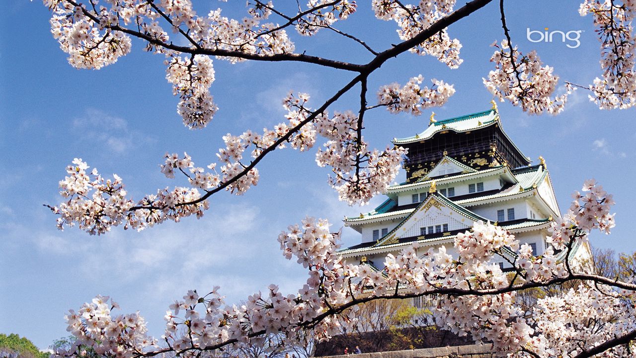 Обои весна, сакура, цветение, дворец, япония, архитектура