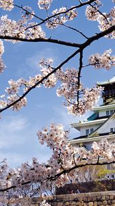 Превью обои весна, сакура, цветение, дворец, япония, архитектура