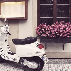 Превью обои vespa, скутер, мопед, цветы