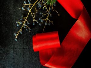 Превью обои ветка, ягоды, лента, красный