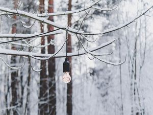 Превью обои ветка, лампочка, лес, снег, зима