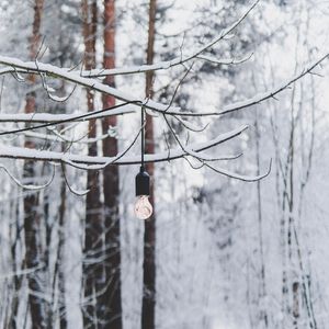 Превью обои ветка, лампочка, лес, снег, зима