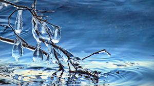 Превью обои ветка, лед, вода, макро