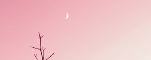 Превью обои ветка, луна, облака, минимализм, розовый
