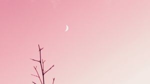 Превью обои ветка, луна, облака, минимализм, розовый