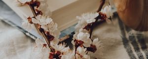 Превью обои ветка, цветение, кофе, очки, натюрморт