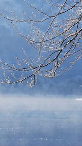 Превью обои ветка, вода, дерево, зима