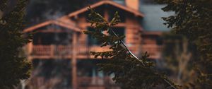 Превью обои ветки, деревья, дом, хвоя, мокрый, размытость