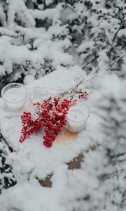 Превью обои ветки, ягоды, свечи, снег