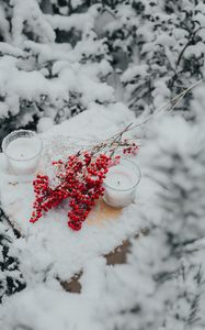 Превью обои ветки, ягоды, свечи, снег