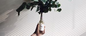 Превью обои ветки, листья, растение