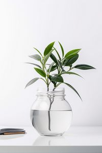 Превью обои ветки, листья, ваза, вода, белый, минимализм