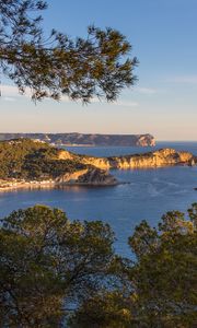 Превью обои ветки, море, острова, природа, вид