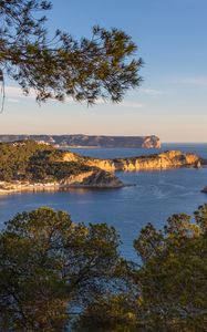 Превью обои ветки, море, острова, природа, вид