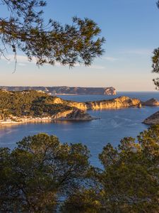 Превью обои ветки, море, острова, природа, вид