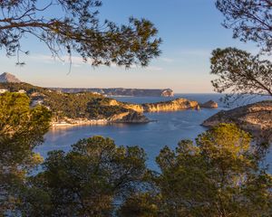 Превью обои ветки, море, острова, природа, вид