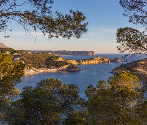 Превью обои ветки, море, острова, природа, вид