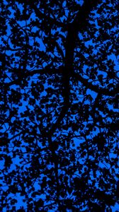 Превью обои ветки, небо, темный, дерево, листья, синий, узор