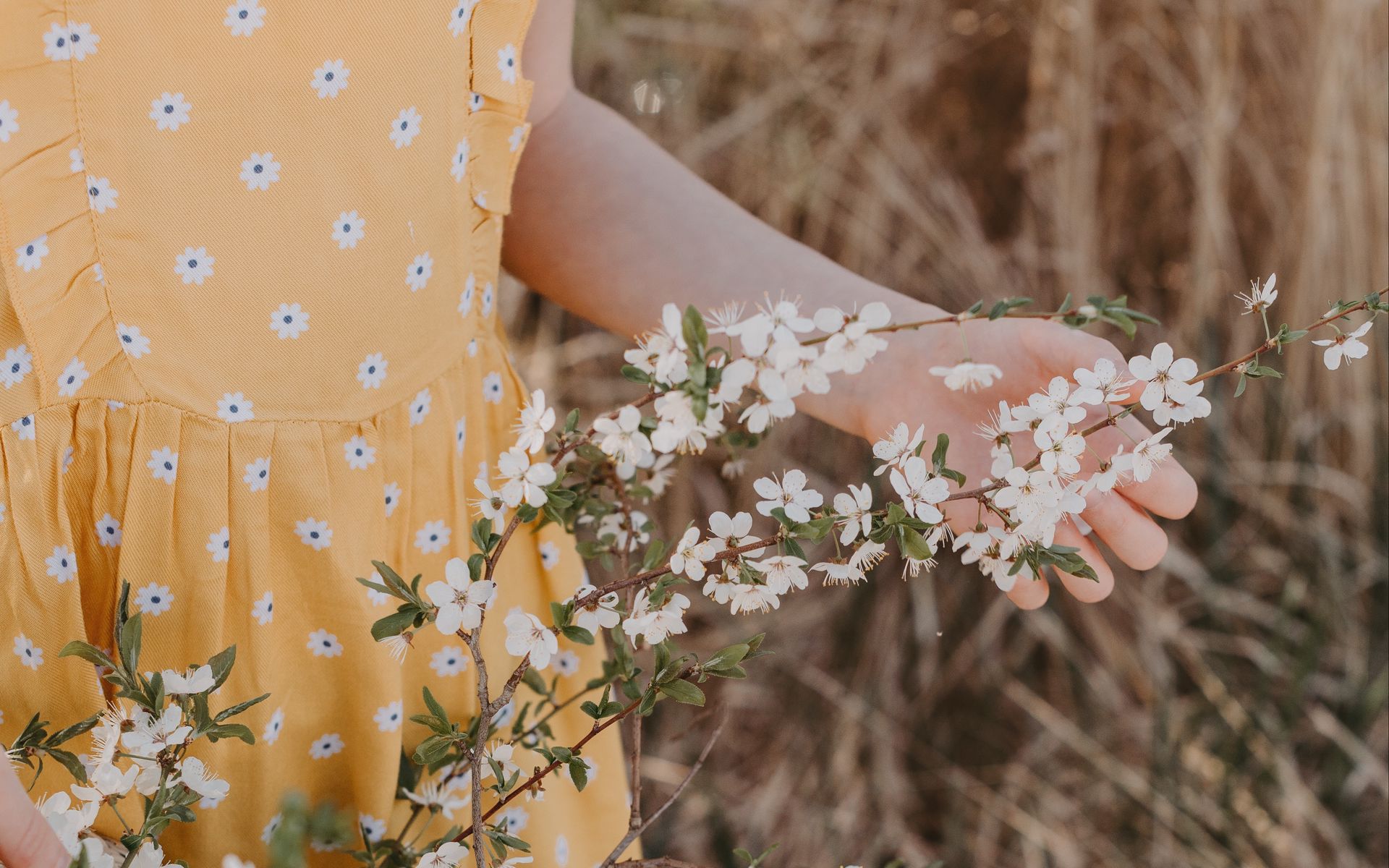 Руки девушки цветы весны