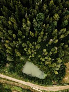 Превью обои вид сверху, дорога, деревья, лес
