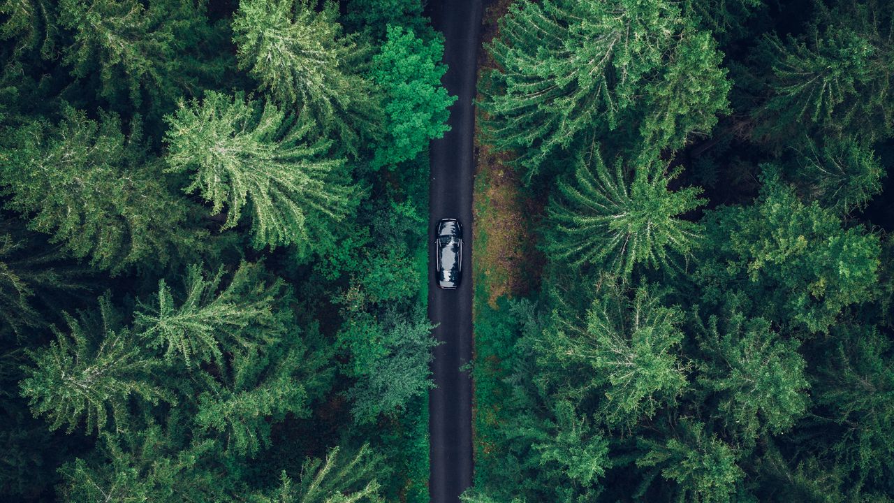 Обои вид сверху, машина, деревья, лес