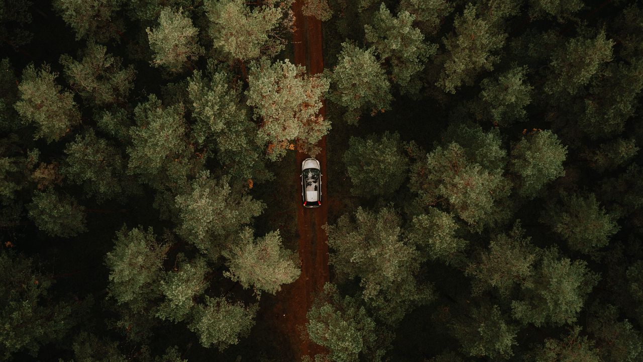 Обои вид сверху, машина, лес, деревья, дорога
