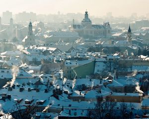 Превью обои вильнюс, литва, городской пейзаж, крыши, дым, панорама