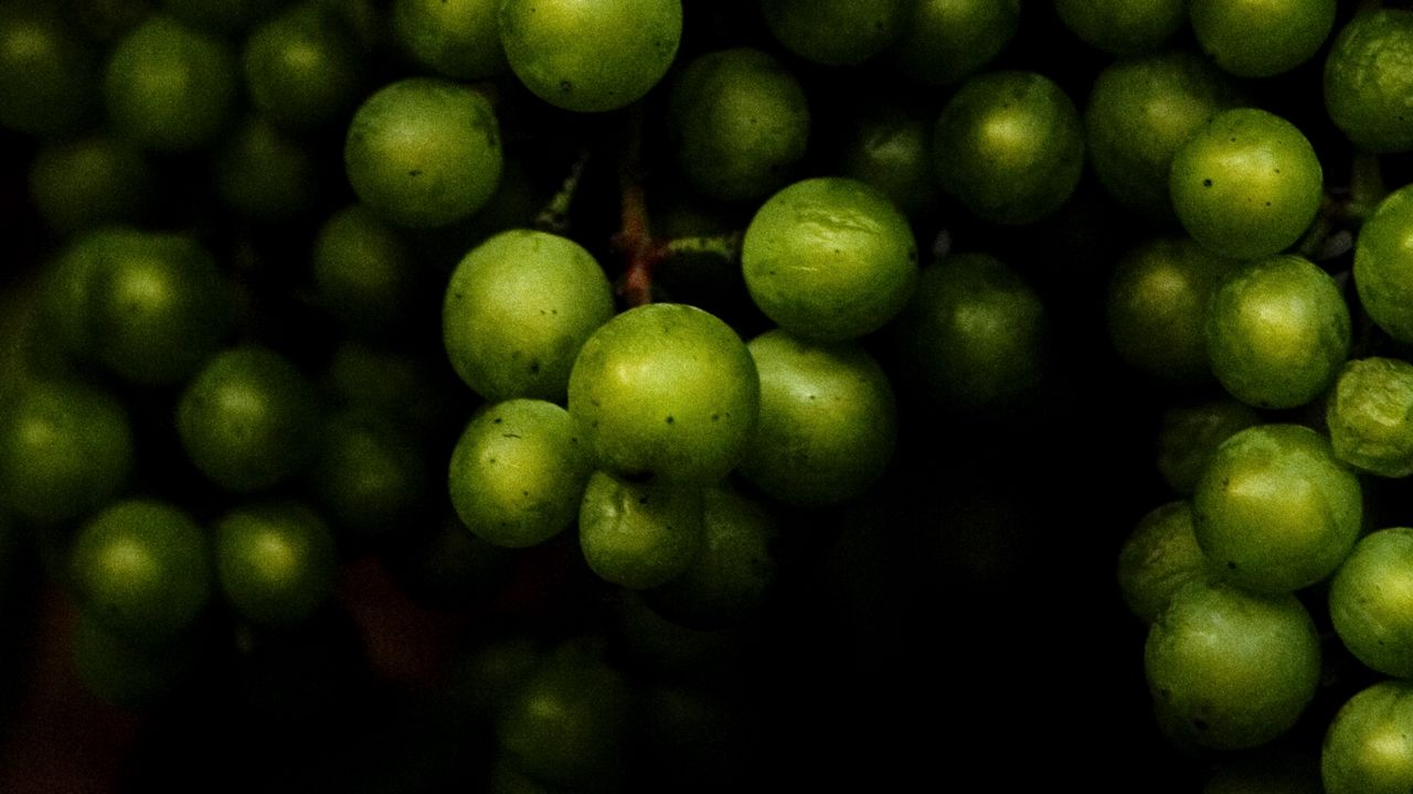 Обои виноград, фрукты, макро, темный