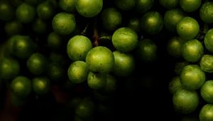 Превью обои виноград, фрукты, макро, темный