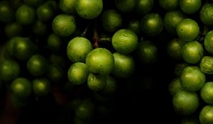 Превью обои виноград, фрукты, макро, темный