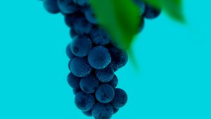 Превью обои виноград, гроздь, ягоды, макро, мокрый