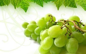 Превью обои виноград, гроздь, лист