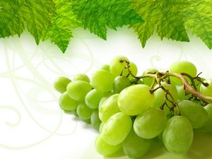 Превью обои виноград, гроздь, лист