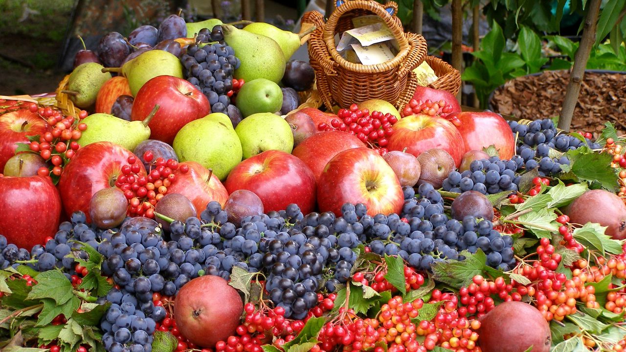 Обои виноград, яблоки, много, фрукты