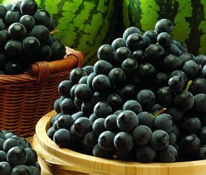 Превью обои виноград, ягода, черный, арбузы, корзинка