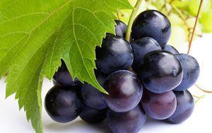 Превью обои виноград, ягода, лист, веточка