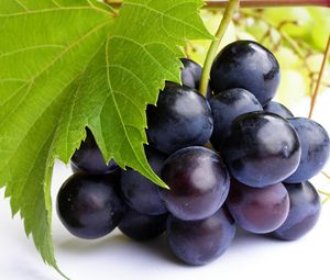 Превью обои виноград, ягода, лист, веточка