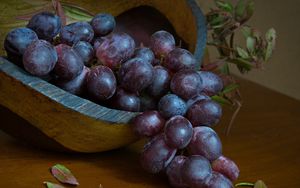 Превью обои виноград, ягоды, фрукт, гроздь