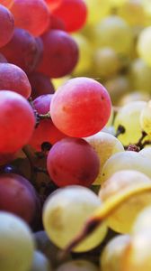 Превью обои виноград, ягоды, фрукты