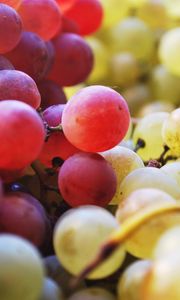 Превью обои виноград, ягоды, фрукты