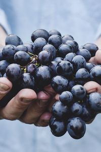 Превью обои виноград, связка, спелый, руки