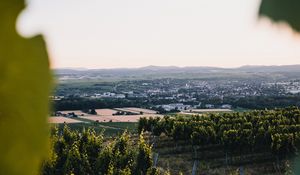 Превью обои виноградники, поля, вид сверху, природа, пейзаж